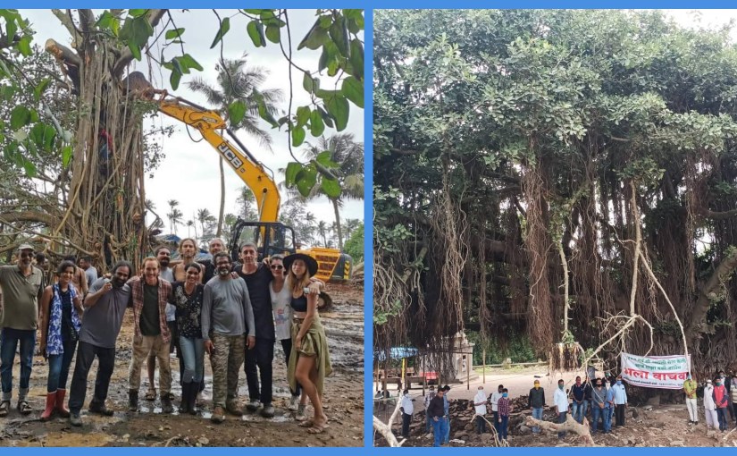 Two sleepy villages, two very special Banyan trees, and a manmade&nbsp;miracle