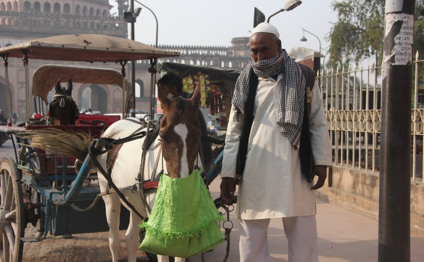 The taangawalas of Lucknow, a slice of Nawabi history, are on the brink of oblivion post&nbsp;lockdown