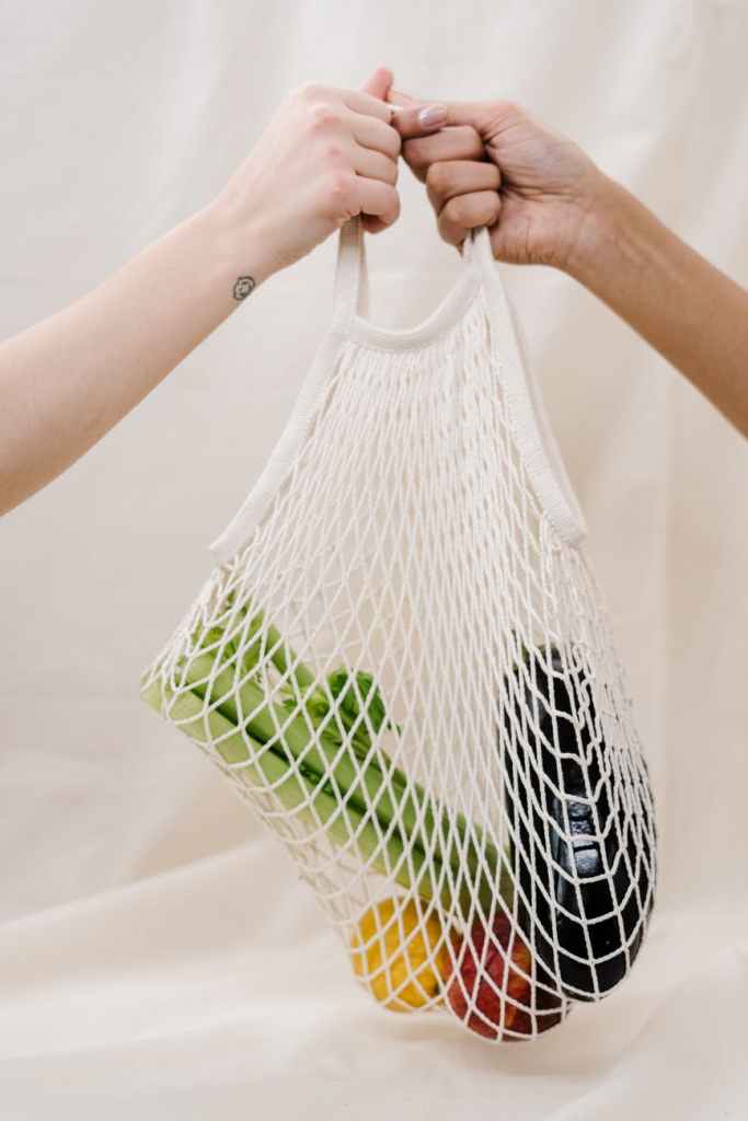 One person handing out a netted bag to another, it contains aubergine, apple, celery and what appears like a pear. 