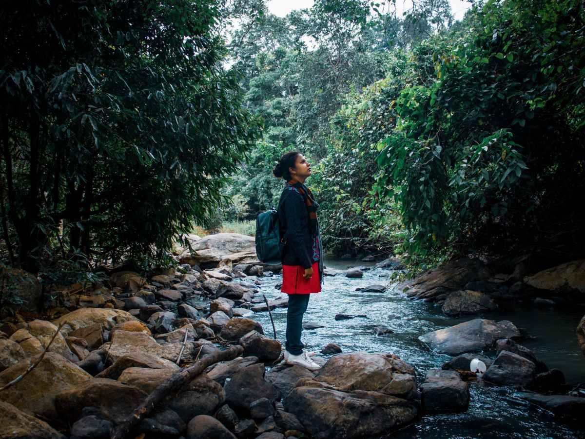 “There is so much to learn by simply observing a&nbsp;tree”