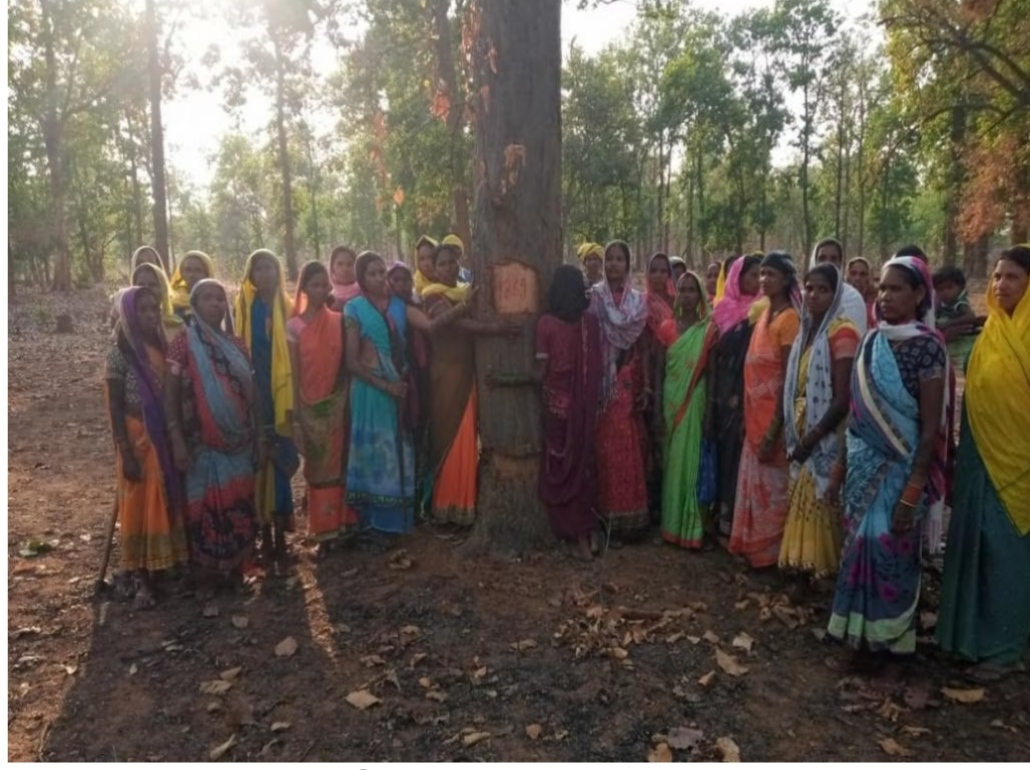 आदिवासी पेड़ों से चिपके विरोध में