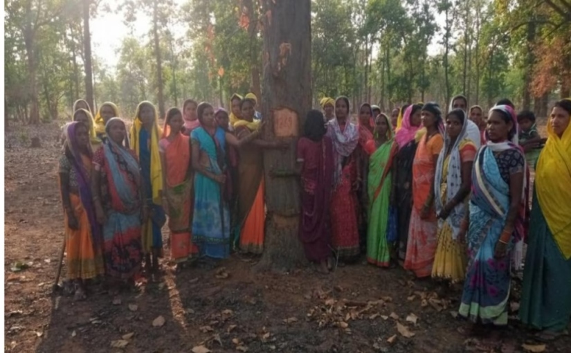 The story of the tree-hugging Adivasis of Hasdeo Arand